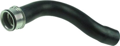 Radiator Hose -