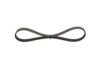 V-Ribbed Belt -