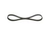 V-Ribbed Belt -