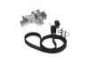 Water Pump & Timing Belt Kit -