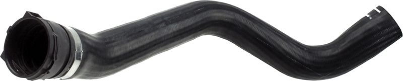 Radiator Hose -