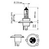 Bulb, spotlight H4 Vision +30%