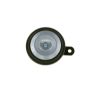 Signal Horn -