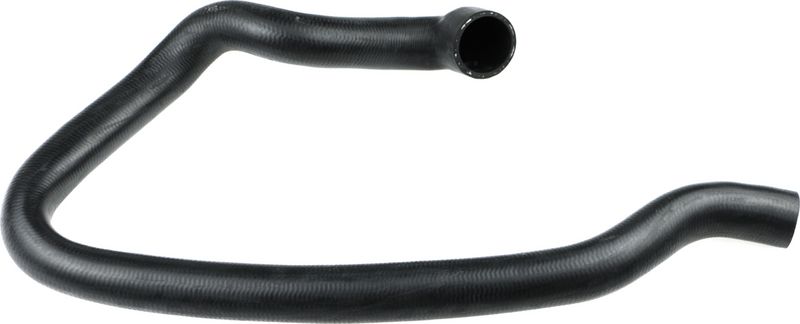Radiator Hose -