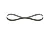 V-Ribbed Belt VAG - 06F 903 137L - 6PK955