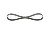 V-Ribbed Belt VAG - 06F 903 137L - 6PK955