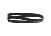 V-Ribbed Belt -