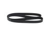 V-Ribbed Belt -