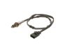 Oxygen Sensor -
