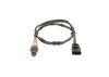 Oxygen Sensor -