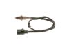 Oxygen Sensor -