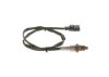 Oxygen Sensor -