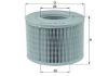 Air Filter Renault
