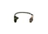 Oxygen Sensor -
