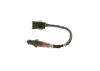 Oxygen Sensor -