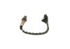 Oxygen Sensor -