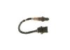 Oxygen Sensor -