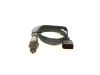 Oxygen Sensor -