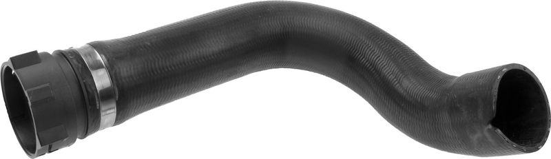 Radiator Hose -