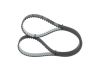 Timing Belt -