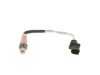 Oxygen Sensor -