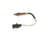 Oxygen Sensor -