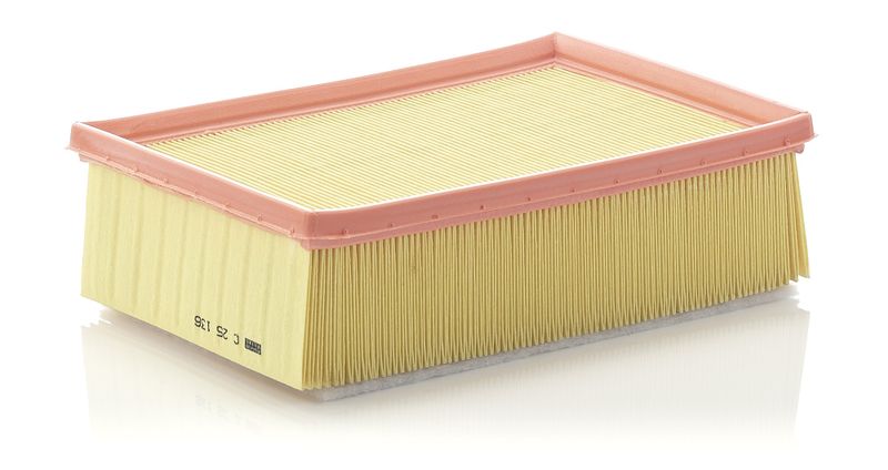 Air Filter PSA C4,307,2.0HDI,