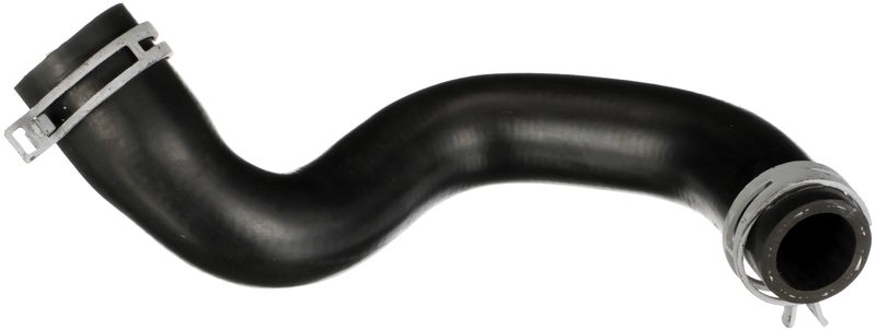 Radiator Hose -