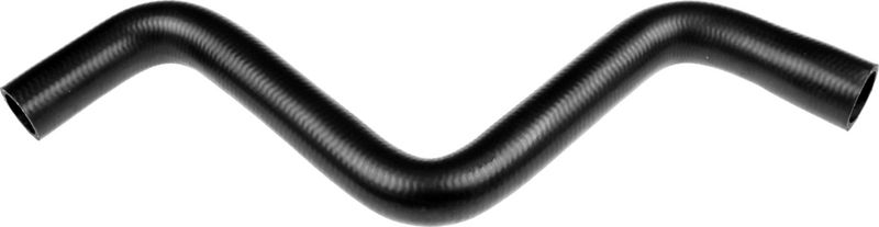 Radiator Hose -