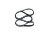 V-Ribbed Belt GENERAL MOTORS - 55350421 - 5PK1545