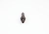 Nozzle and Holder Assembly -