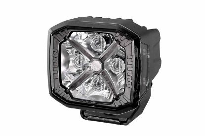 Spotlight -
