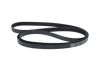 V-Ribbed Belt FORD - 1 129 182 - 7PK2875