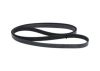 V-Ribbed Belt FORD - 1 129 182 - 7PK2875