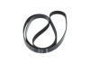 V-Ribbed Belt FORD - 1 129 182 - 7PK2875