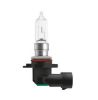 Bulb, spotlight HIR2 55W PX20D