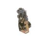 lnjection Pump -