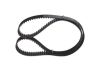 Timing Belt -