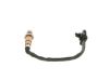Oxygen Sensor -