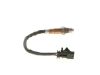 Oxygen Sensor -