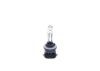 Bulb Pure Light PGJ13 50W 886