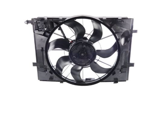 Electric Motor, radiator fan -