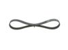 V-Ribbed Belt -