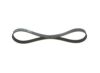 V-Ribbed Belt -
