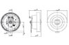 Signal Horn SUPERTONE HORN