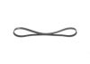 V-Ribbed Belt -
