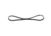 V-Ribbed Belt -