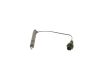 Nozzle and Holder Assembly -