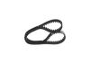 Timing Belt -