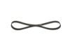 V-Ribbed Belt -